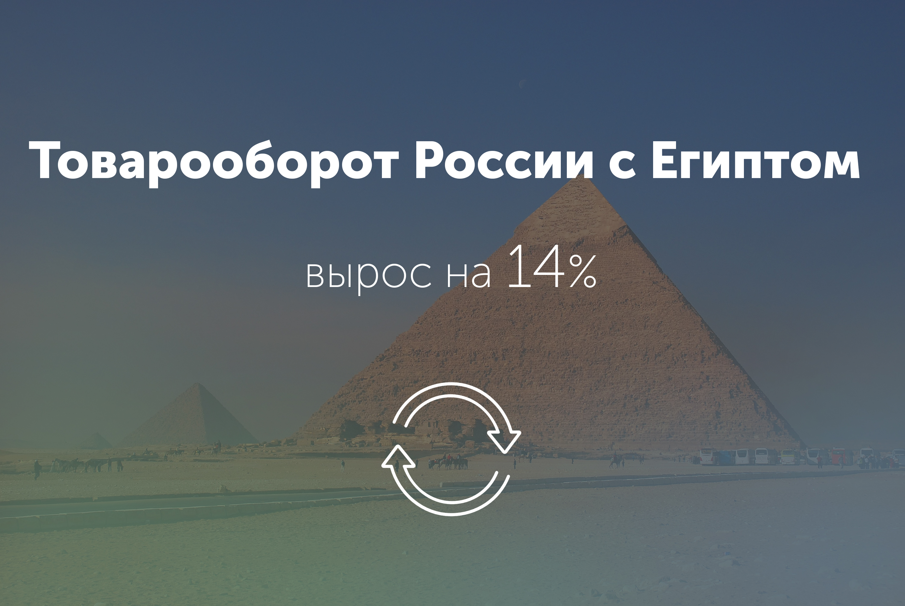 Товарооборот России с Египтом вырос на 14%